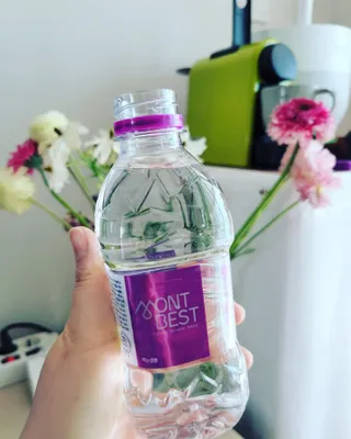 몽베스트 [MONTBEST] 330mL 20병 — 5점을 준 리뷰어가 2022년 4월 올린 사용 사진