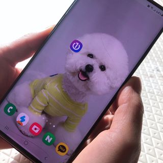 삼숑이맘님이 올린 리뷰 사진 4