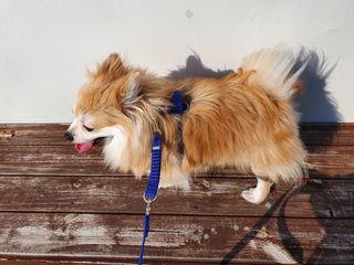 좋아님이 올린 리뷰 사진 4