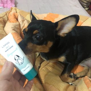 지영님이 올린 리뷰 사진 2