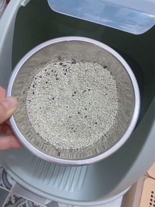새벽님이 올린 리뷰 사진 3