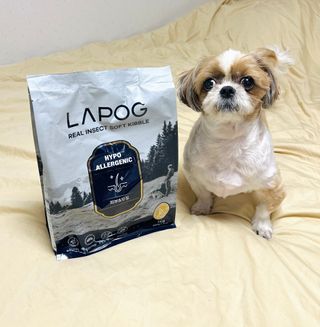 [푸디웜] 라포그 리얼인섹트 소프트키블 스킨 1KG — 4.5점을 준 리뷰어가 2022년 9월 올린 사용 사진