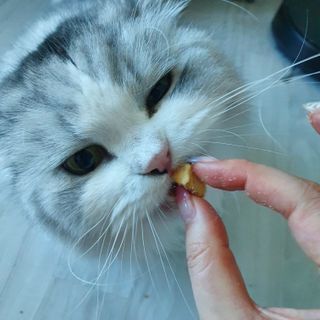슬뷰님이 올린 리뷰 사진 1