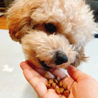 링링님이 올린 리뷰 사진 1