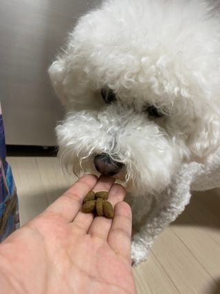 사커맘님이 올린 리뷰 사진 1