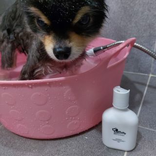 복도리님이 올린 리뷰 사진 4