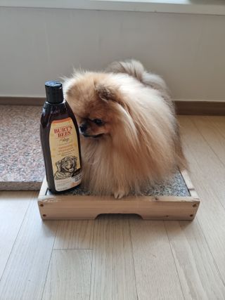 아롱이님이 올린 리뷰 사진 2