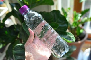 몽베스트 [MONTBEST]위드어스 500mL 20병 — 5점을 준 리뷰어가 2022년 10월 올린 사용 사진