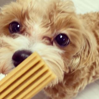 칸쵸님이 올린 리뷰 사진 2