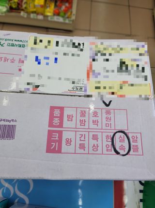 해뜨온 거산 노랑밤고구마 (3,4,5,10 kg) 한입 — 5점을 준 리뷰어가 2021년 10월 올린 사용 사진