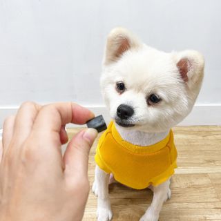 신블리마미님이 올린 리뷰 사진 2
