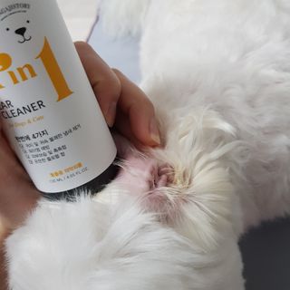 권쁜님이 올린 리뷰 사진 3