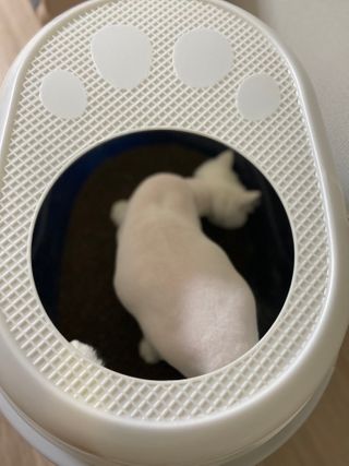 콩알이님이 올린 리뷰 사진 4