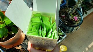 련리님이 올린 리뷰 사진 3