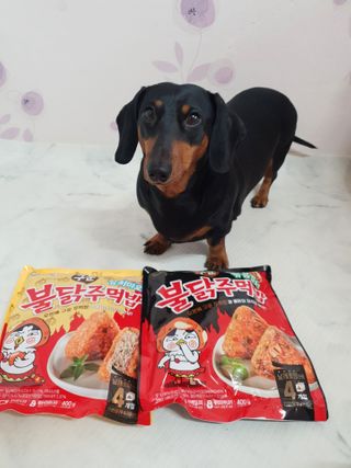삼양냉동 [삼양] 불닭참치마요구운주먹밥+불닭볶음김치구운주먹밥 2세트구성 — 5점을 준 리뷰어가 2021년 2월 올린 사용 사진