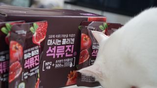 도르방구님이 올린 리뷰 사진 2