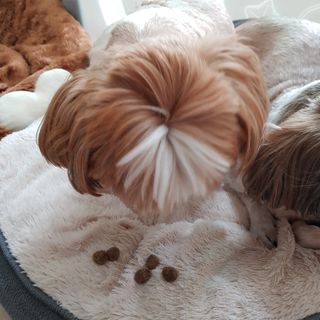 민준맘님이 올린 리뷰 사진 3