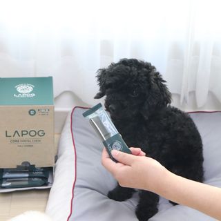우와한언니님이 올린 리뷰 사진 1