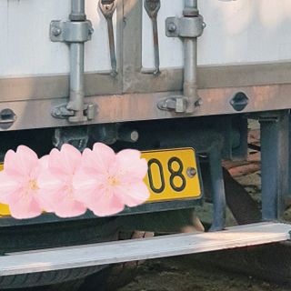 0.8L 마케팅팀 - — 5점을 준 리뷰어가 2021년 5월 올린 사용 사진