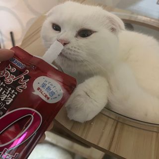 ORIHIRO 오리히로 곤약젤리 제로칼로리 130g 4종 4팩(맛별로 1팩씩) — 5점을 준 리뷰어가 2023년 2월 올린 사용 사진