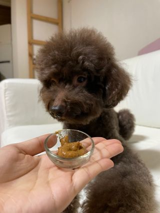 콩지님이 올린 리뷰 사진 3