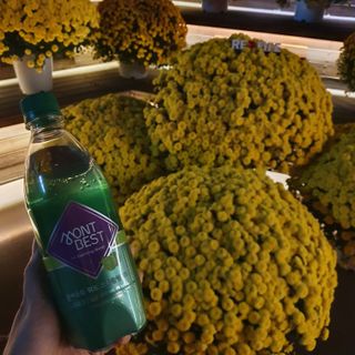 몽베스트 Montbest with Sparkling water Lime20병 — 5점을 준 리뷰어가 2021년 10월 올린 사용 사진