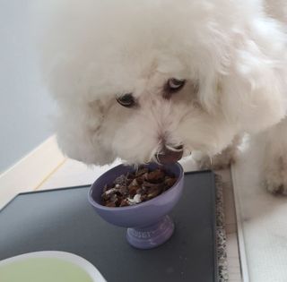 꾸꾸엄마님이 올린 리뷰 사진 3