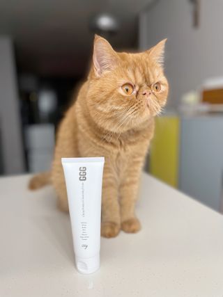 지지지 클린 퍼펙트 클렌징폼 120g — 4.5점을 준 리뷰어가 2022년 3월 올린 사용 사진