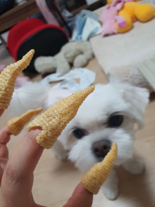 뽀오오옹님이 올린 리뷰 사진 3
