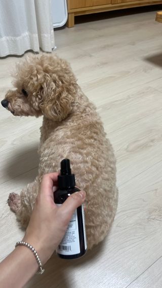 숙블리님이 올린 리뷰 사진 2