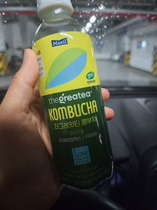 더그레잇티 콤부차 [매일유업] 더그레잇티 44kcal 콤부차 300ml *12개입 (오리지널 6개+베리리치 6개) — 5점을 준 리뷰어가 2023년 8월 올린 사용 사진
