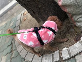 YuJessicaHyeran님이 올린 리뷰 사진 1