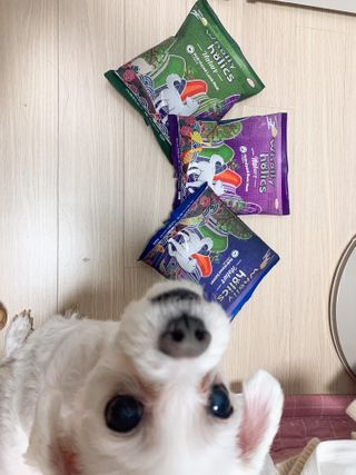 으니부기님이 올린 리뷰 사진 1