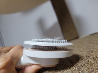 ssun0514님이 올린 리뷰 사진 1