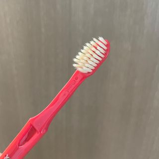 송이님이 올린 리뷰 사진 2