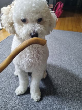 하늘이님이 올린 리뷰 사진 4