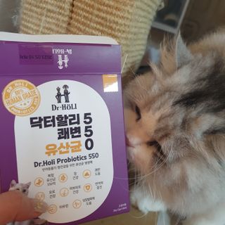 슬뷰님이 올린 리뷰 사진 2