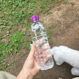 몽베스트 [MONTBEST]위드어스 500mL 20병 — 5점을 준 리뷰어가 2022년 8월 올린 사용 사진