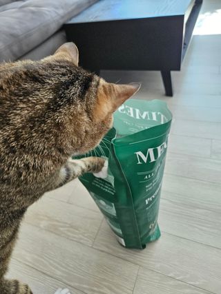 찰리랄라님이 올린 리뷰 사진 3