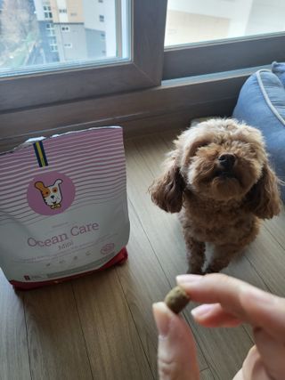 밍카님이 올린 리뷰 사진 1