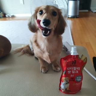루니이이잉님이 올린 리뷰 사진 1