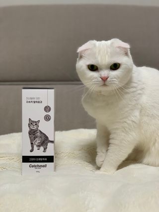 lala1234님이 올린 리뷰 사진 2