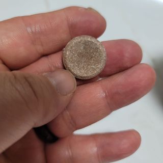쿠팡 [아임고트] 뉴질랜드 산양유 프로바이오틱스 츄어블 코코아맛 — 5점을 준 리뷰어가 2025년 3월 올린 사용 사진