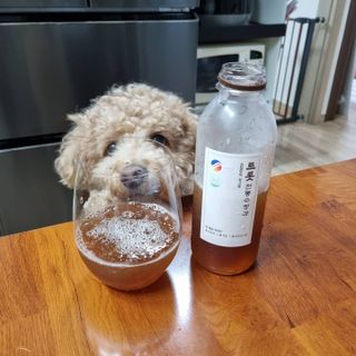 기린짱맘님이 올린 리뷰 사진 4