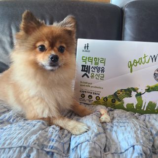 다님님이 올린 리뷰 사진 1