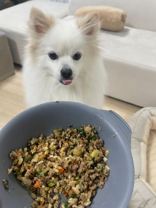 Dh님이 올린 리뷰 사진 2