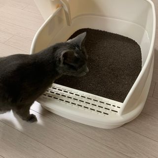 랑미님이 올린 리뷰 사진 3