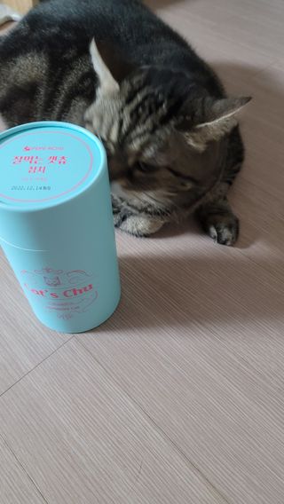 페페로니 잘 먹는 캣츄 - 원양선 참치 24개입 — 5점을 준 리뷰어가 2021년 7월 올린 사용 사진
