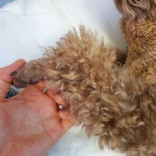 사랑해안시영님이 올린 리뷰 사진 4