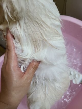 튼튼보이맘님이 올린 리뷰 사진 4